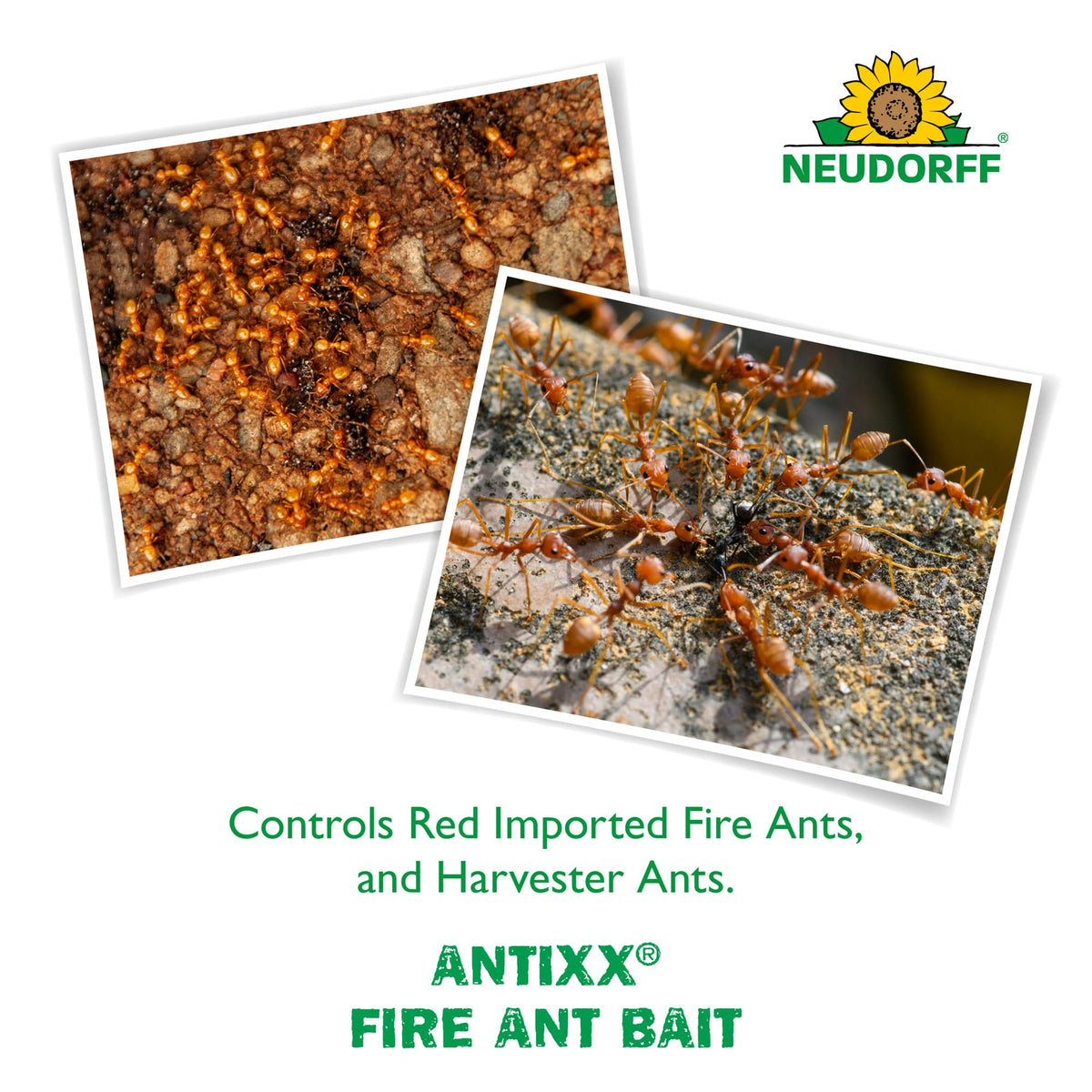 Fire Ant Bait 2 LBS M16583